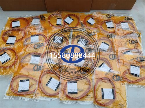 卡特彼勒2701539OFRS密封圈套件：机械密封的坚固防线